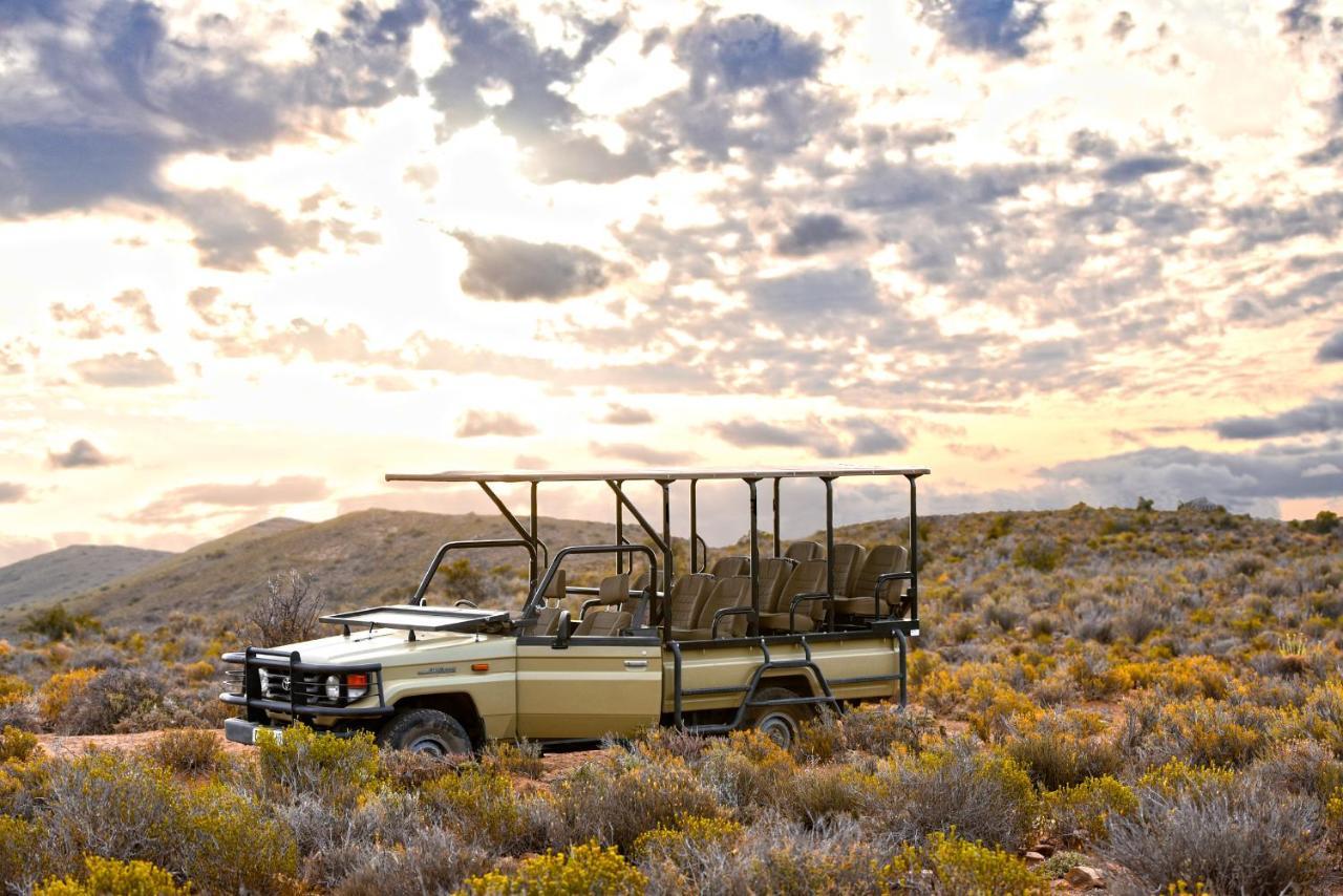 Mont Eco Game Reserve Montagu Esterno foto