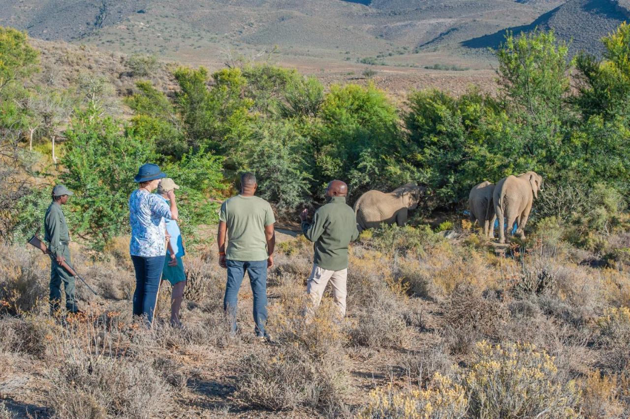 Mont Eco Game Reserve Montagu Esterno foto