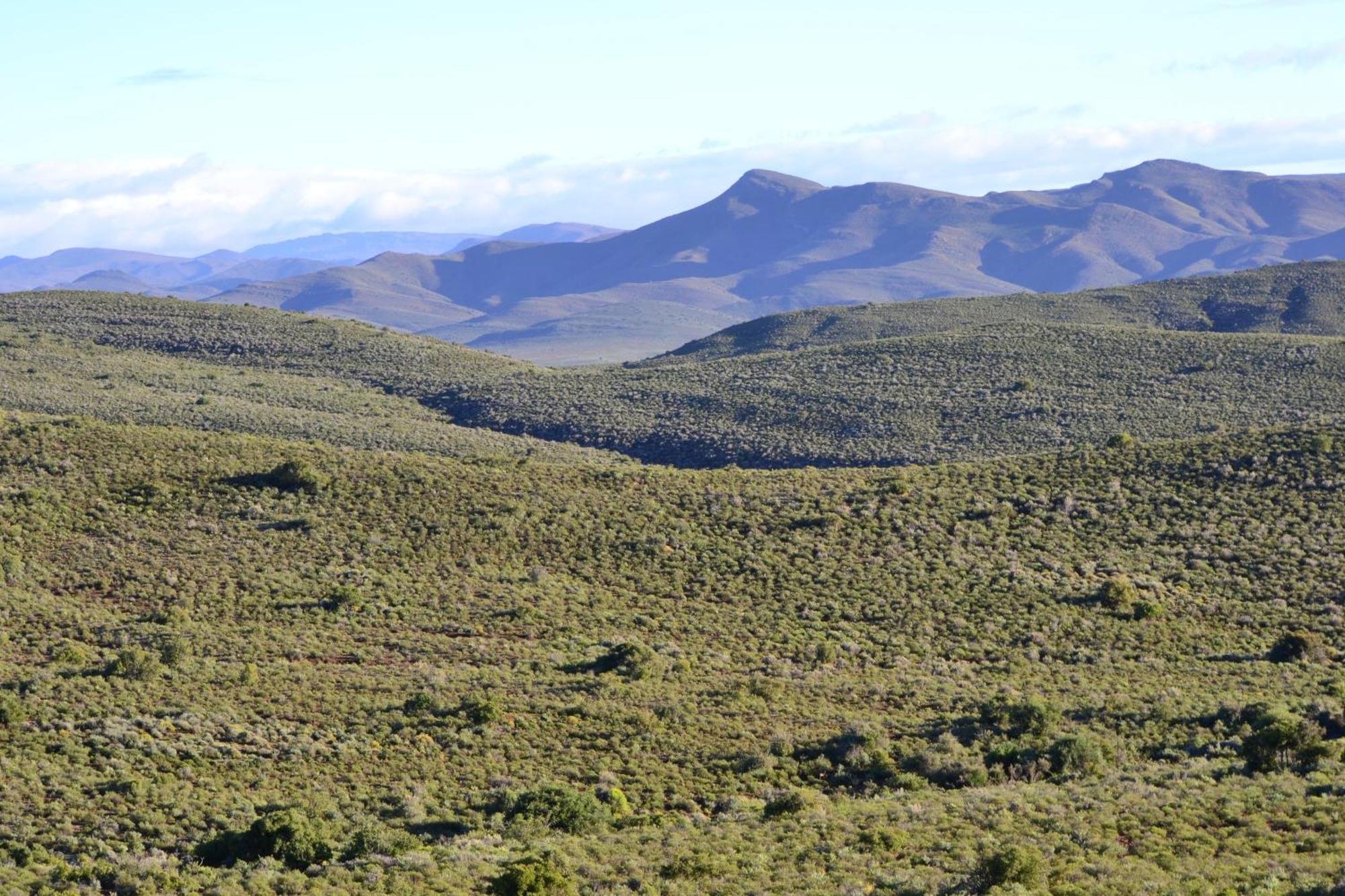 Mont Eco Game Reserve Montagu Esterno foto